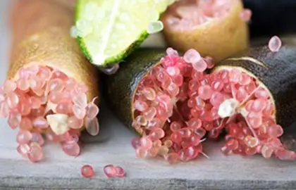 What Are Finger Limes?