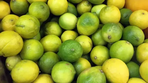 When Do Limes Fruit?