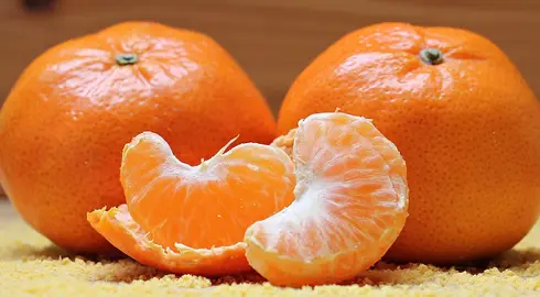 When Do Mandarins Fruit?