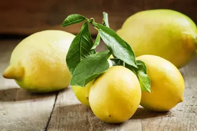 Where Do Lemons Grow Best?