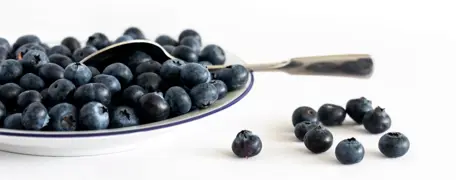 How to Grow Blueberries Successfully in New Zealand: Tips and Best Practices.