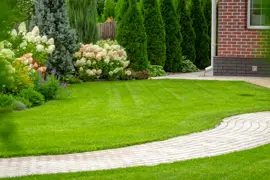 Lawn Care Tips For New Zealand Lawns.