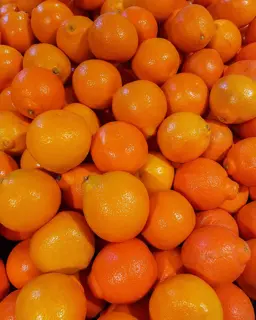 Mandarins.