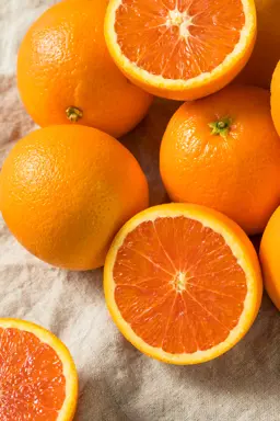 Oranges.