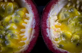 Passion Fruit in NZ: Growing, Care, and Benefits.