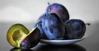 Plum Tree Care – Growing and Maintenance Guide for NZ Gardens.