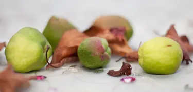 Quince Tree Care Guide: How to Grow and Maintain Quince Trees in NZ.