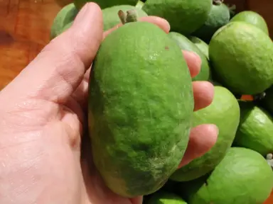 What Are Popular Feijoa Varieties In NZ?