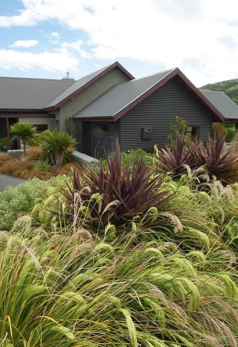 Alpine garden with NZ natives