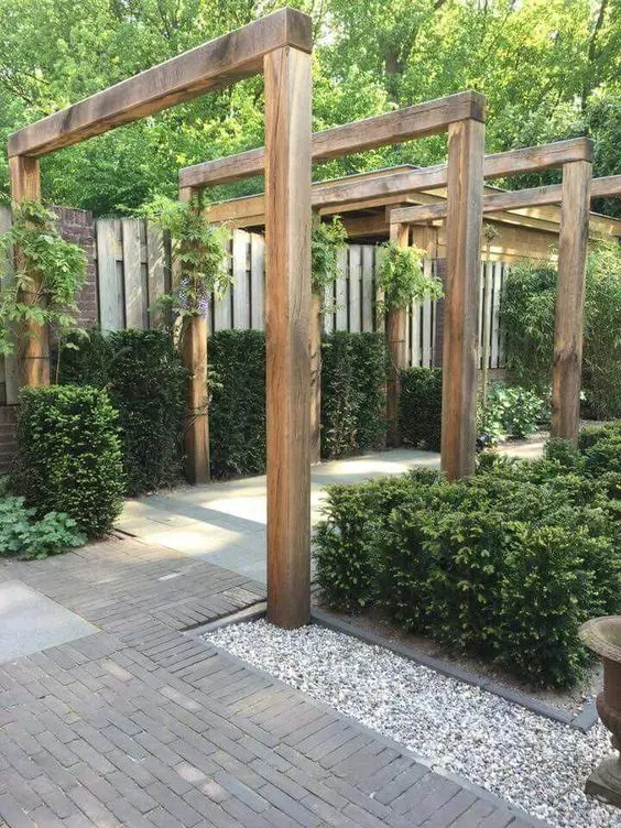 Architectural backyard planting