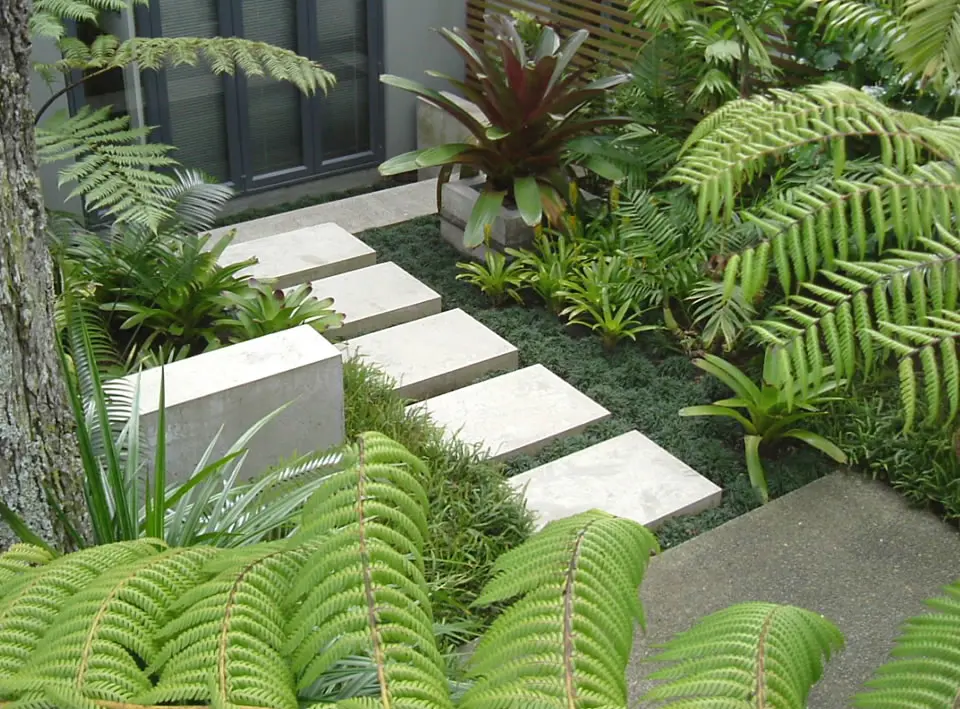 Architectural garden path and no lawn