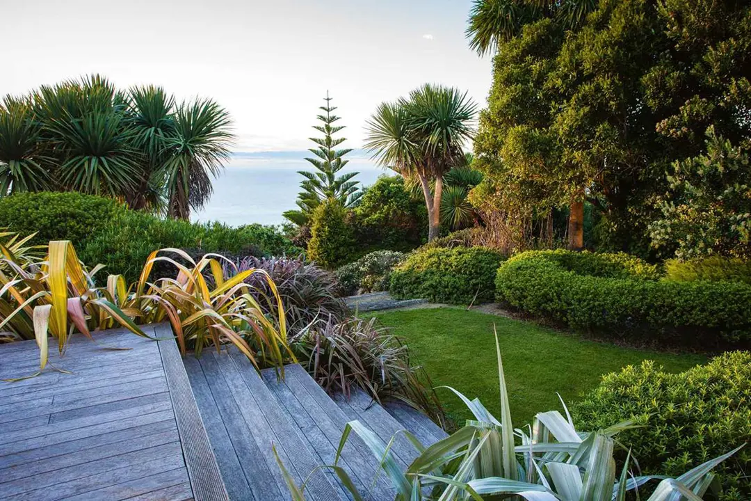 Backyard coastal garden