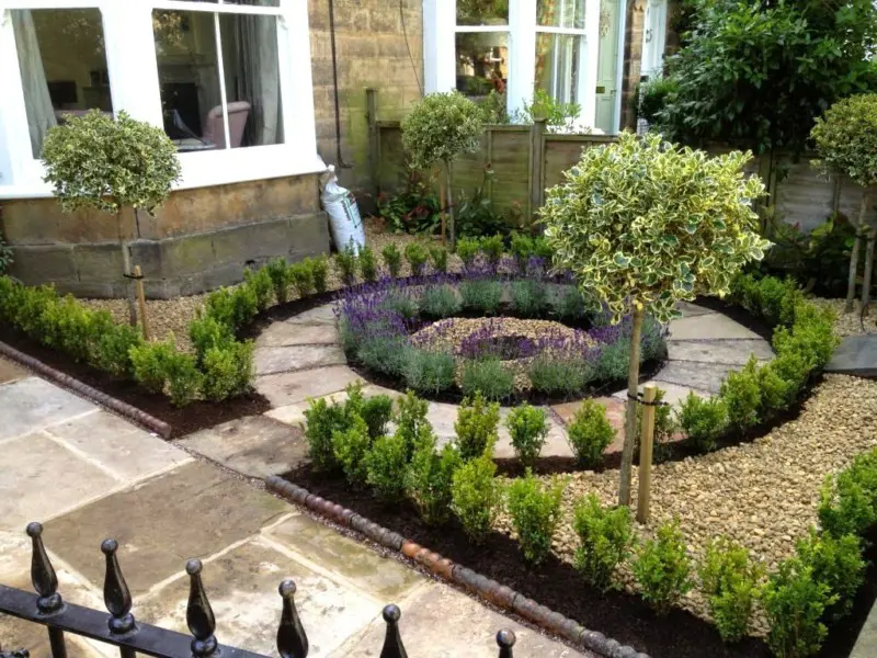 Buxus and Ilex in the front garden