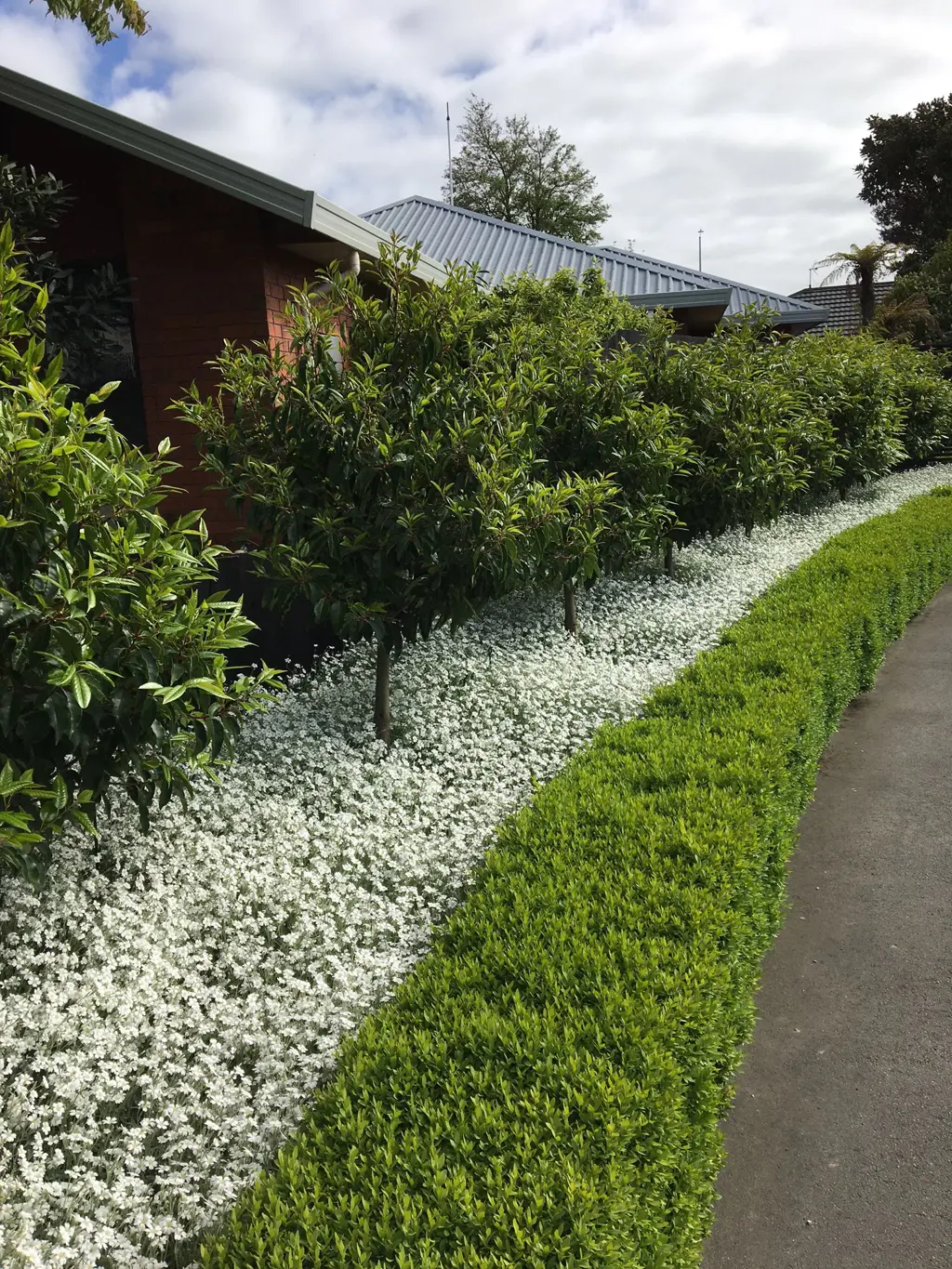 A driveway to behold