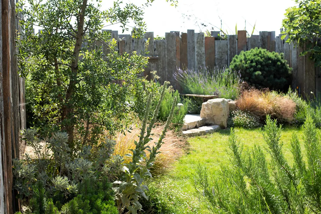 Coastal garden with rosemary and lavender