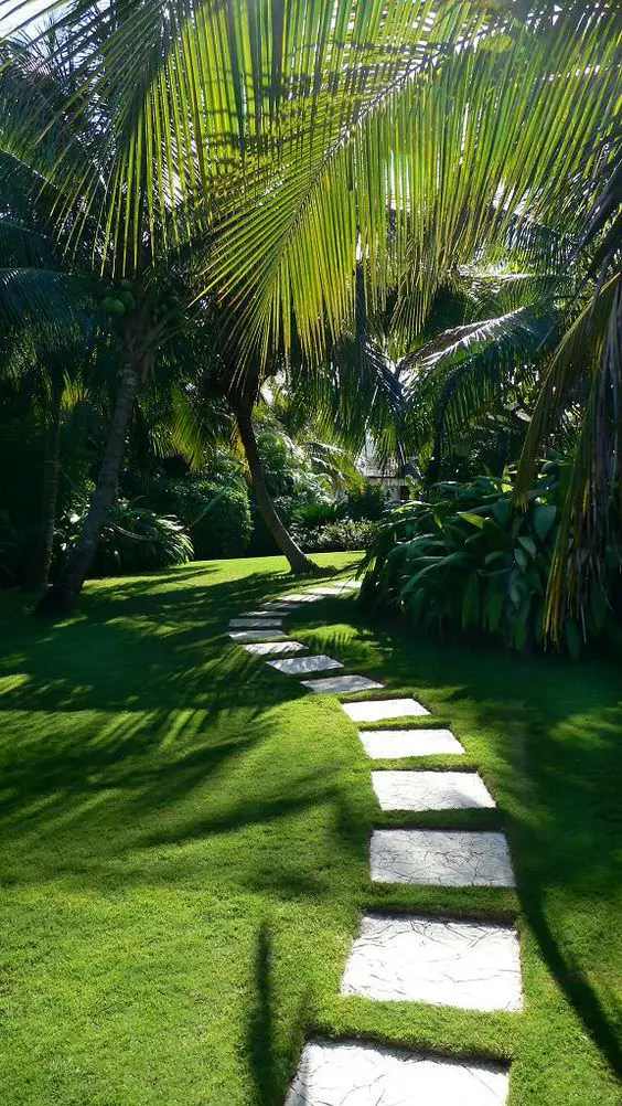 Coconut palms in a modern garden