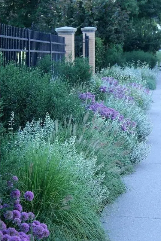 Colourful border planting