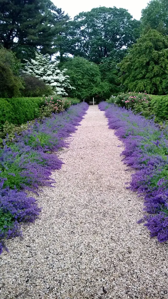 Colourful garden path