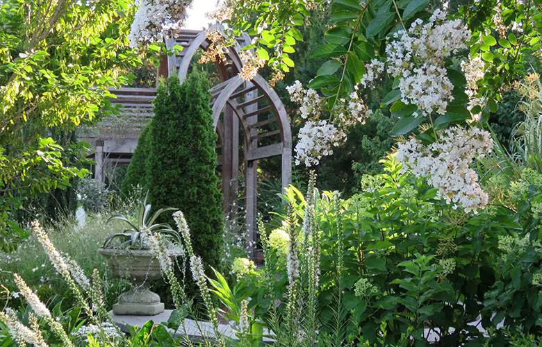 Cottage garden with arches