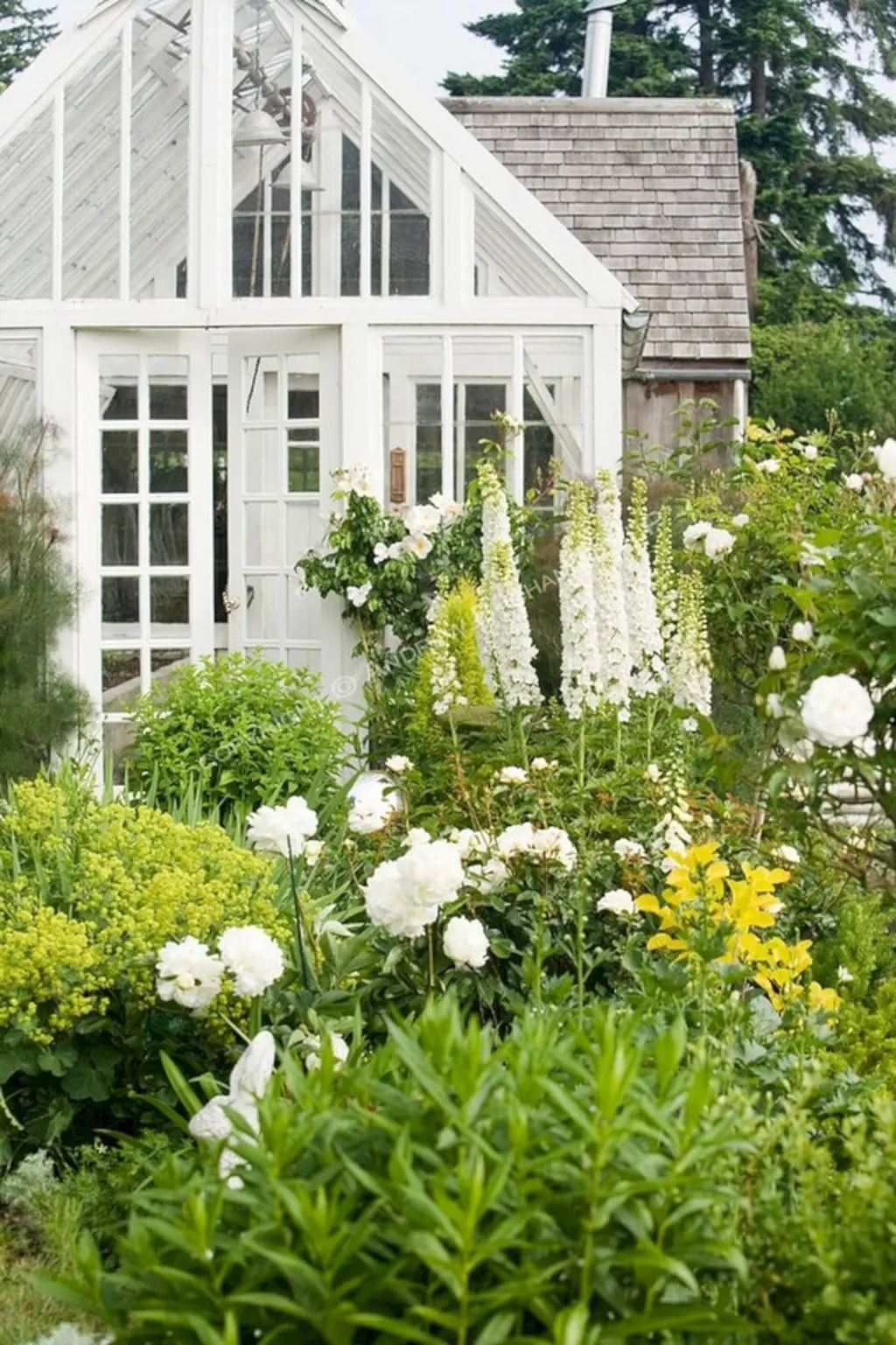 Cottage garden with whites and yellows