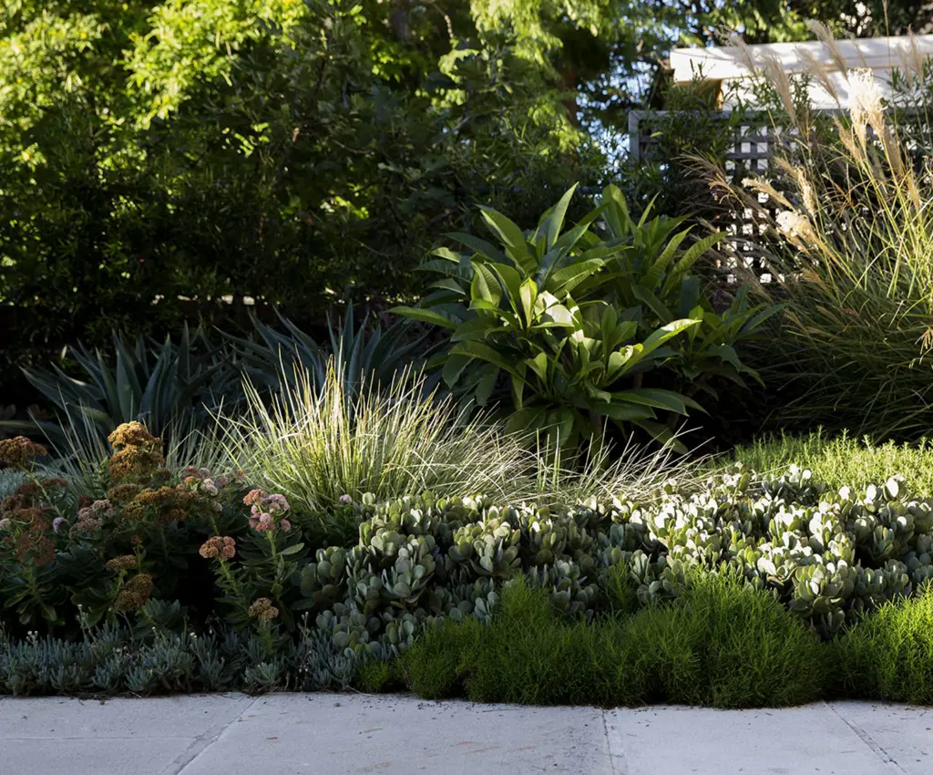 Cottage planting in the front garden