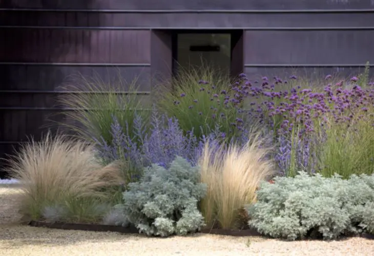 Entrance with herbaceous perennials