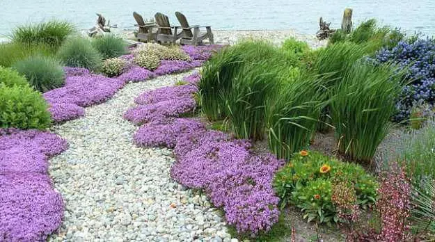 Garden path leading to the beach