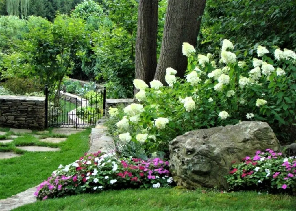 Hydrangea and Impatiens border a lawn