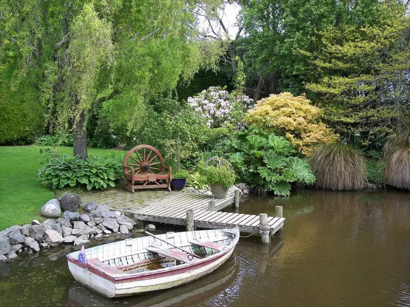 Lovely pond planting