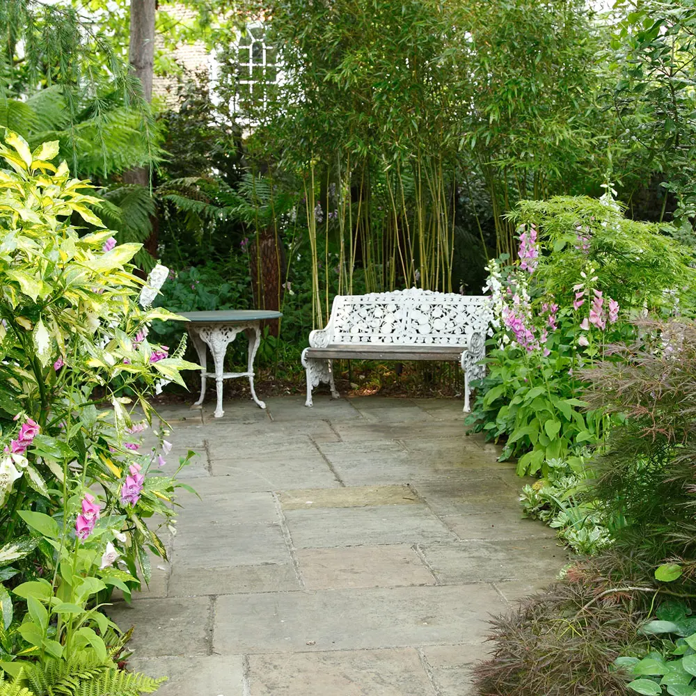 Lush courtyard garden