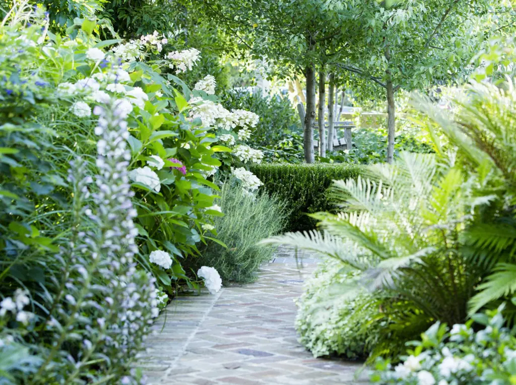Lush garden path with hydrangeas