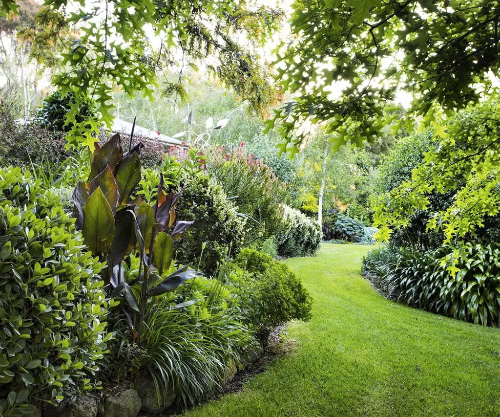 Lush mixed planting