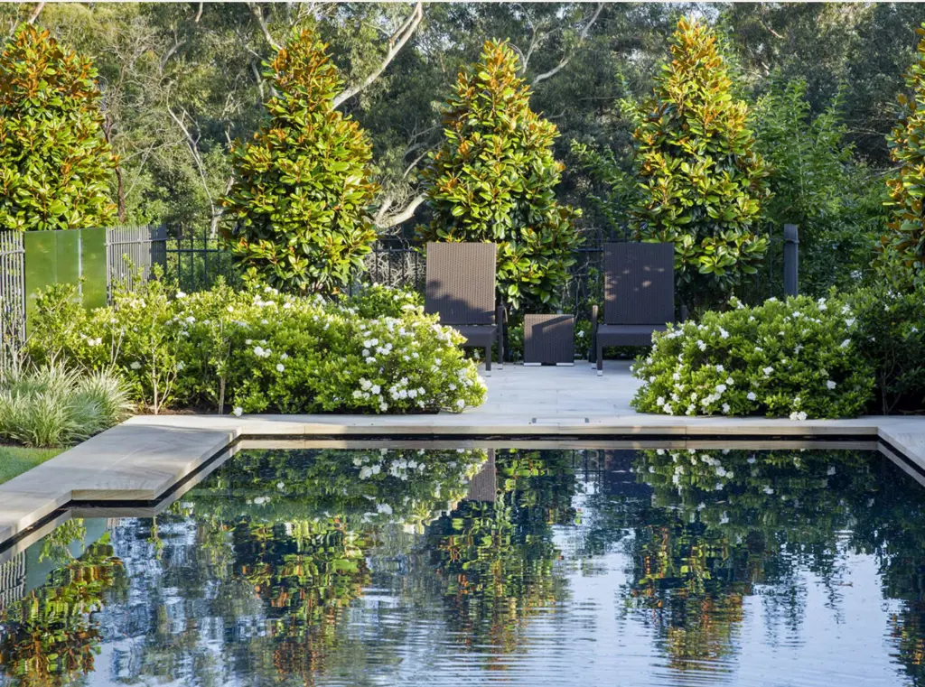 Magnolias and Gardenia around bordering a pool