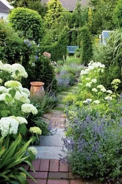 Miced planting in a cottage garden path
