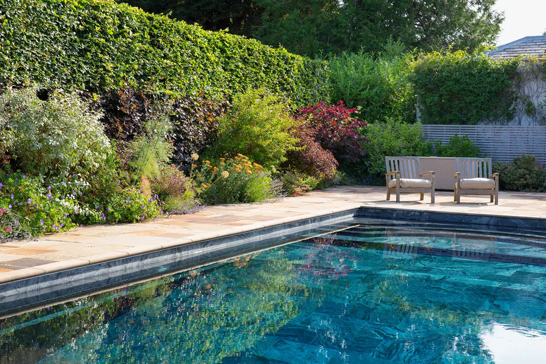 Mixed planting around a pool