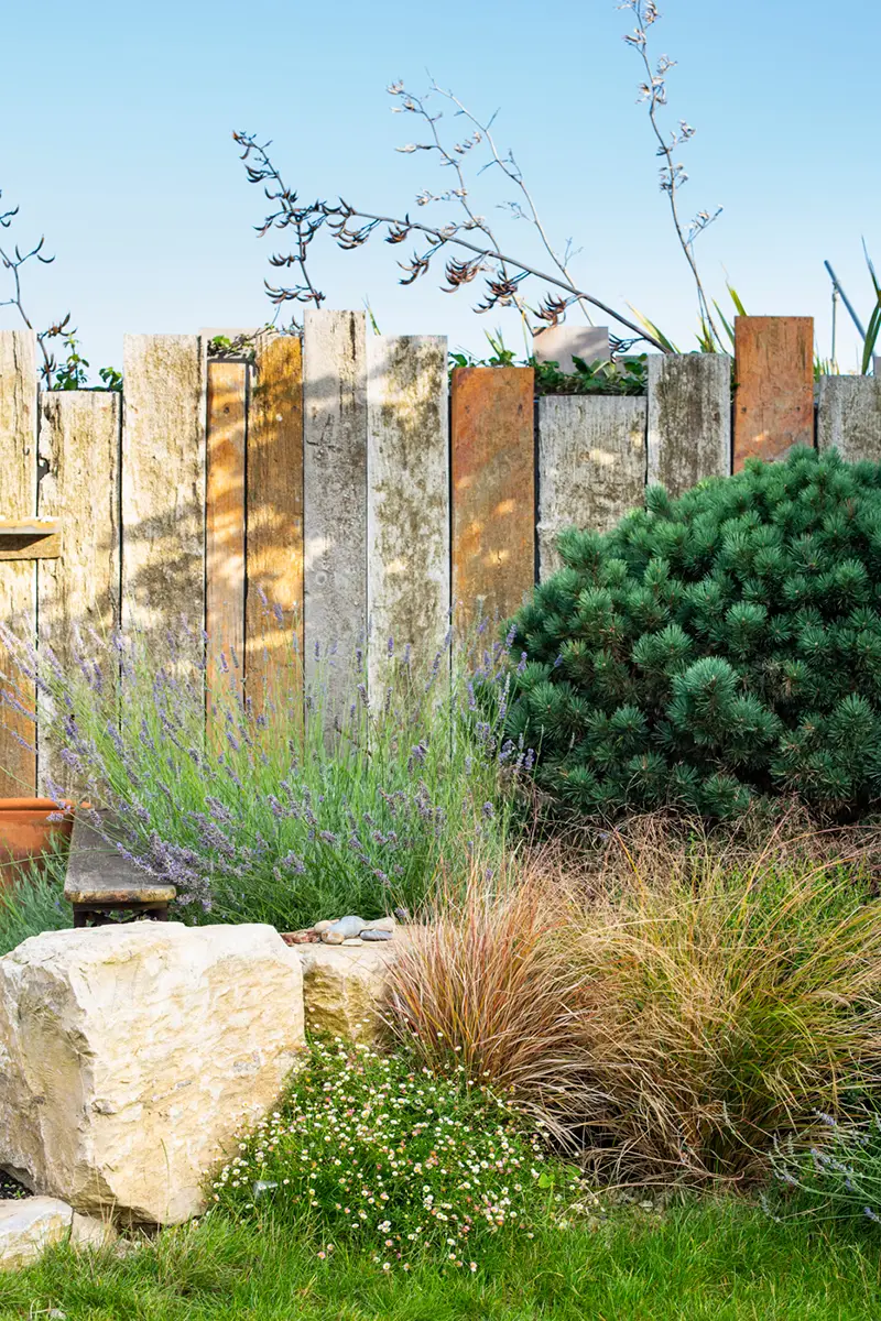 Mixed planting in a coastal garden