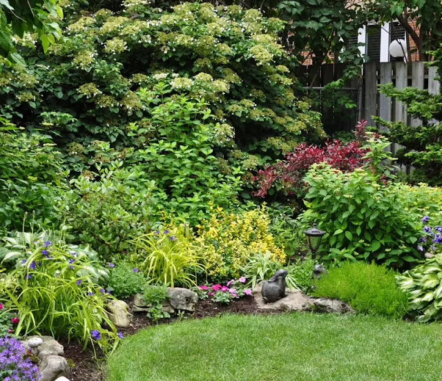 Mixed planting in the border