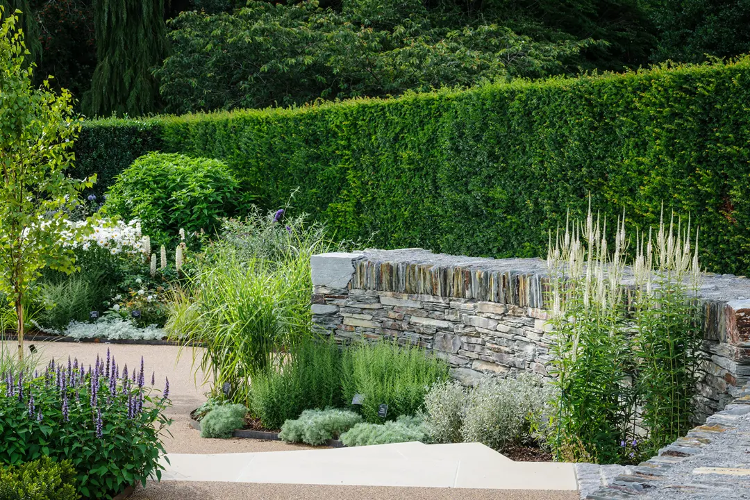 Mixed planting with a modern twist
