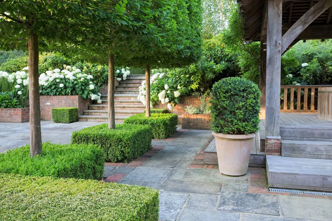 Modern living area garden