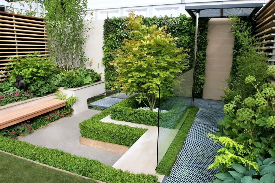 Modern outdoor living with a small Japanese Maple