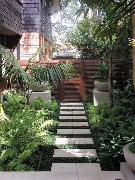 Modern, shaded garden