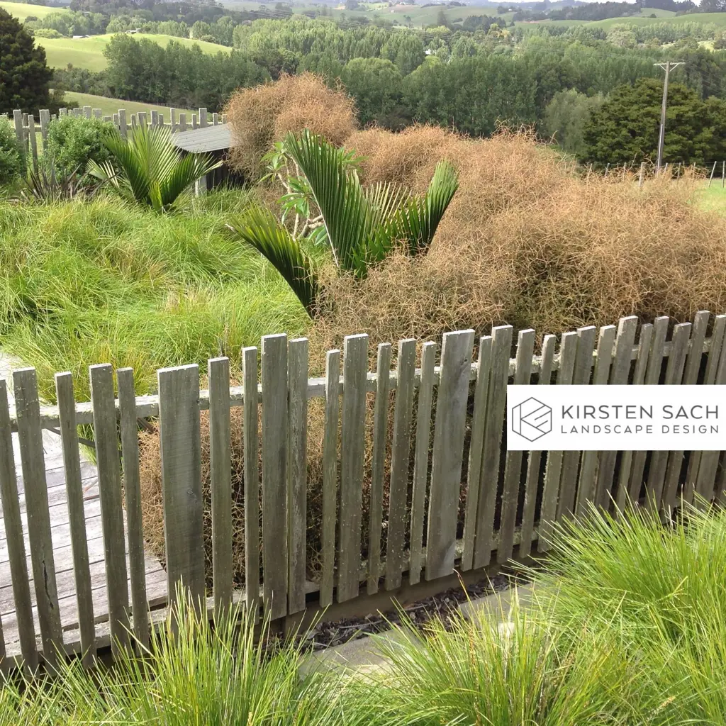 NZ natives in a country garden