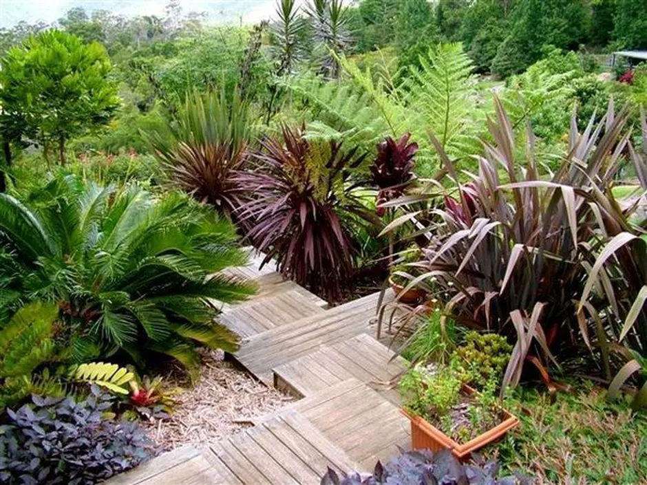 NZ natives in a mixed planting