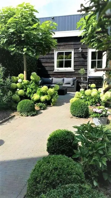 Outdoor living with topiary buxus