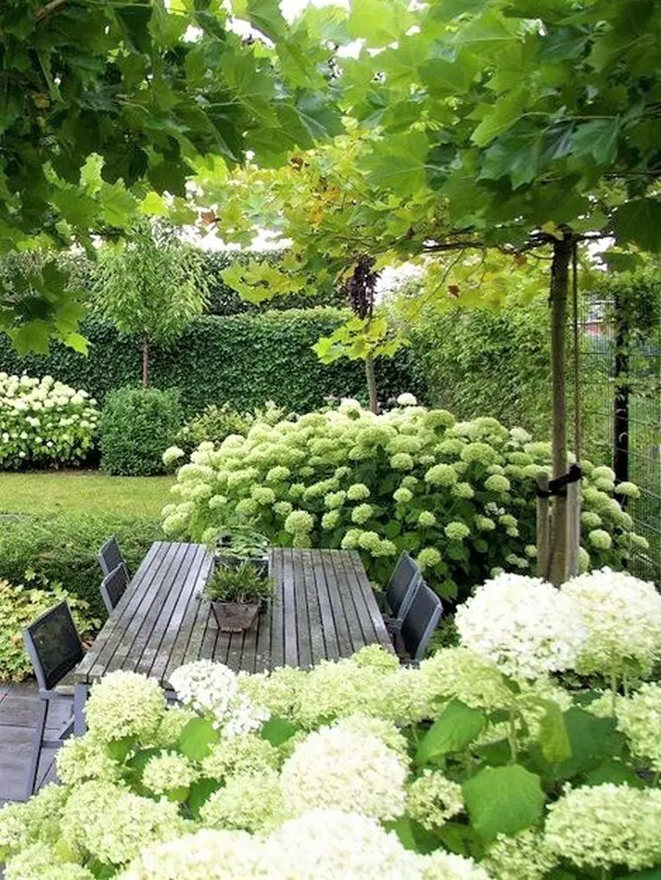 Outdoor dining in a white garden