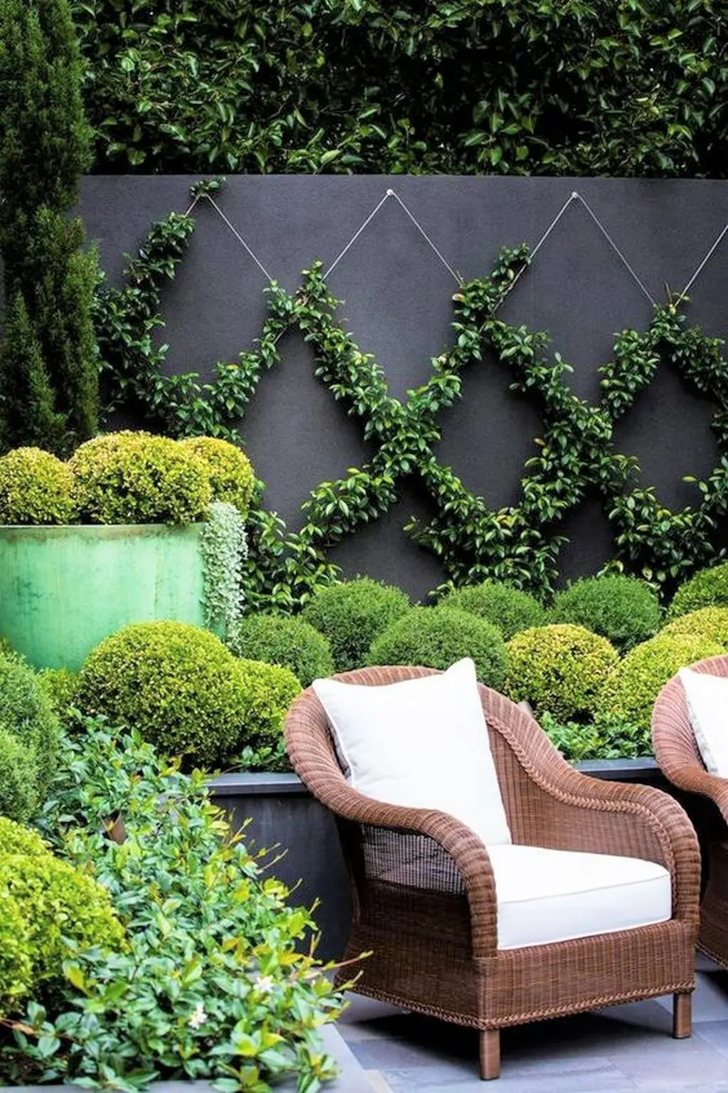 Outdoor living with Buxus and Star Jasmine