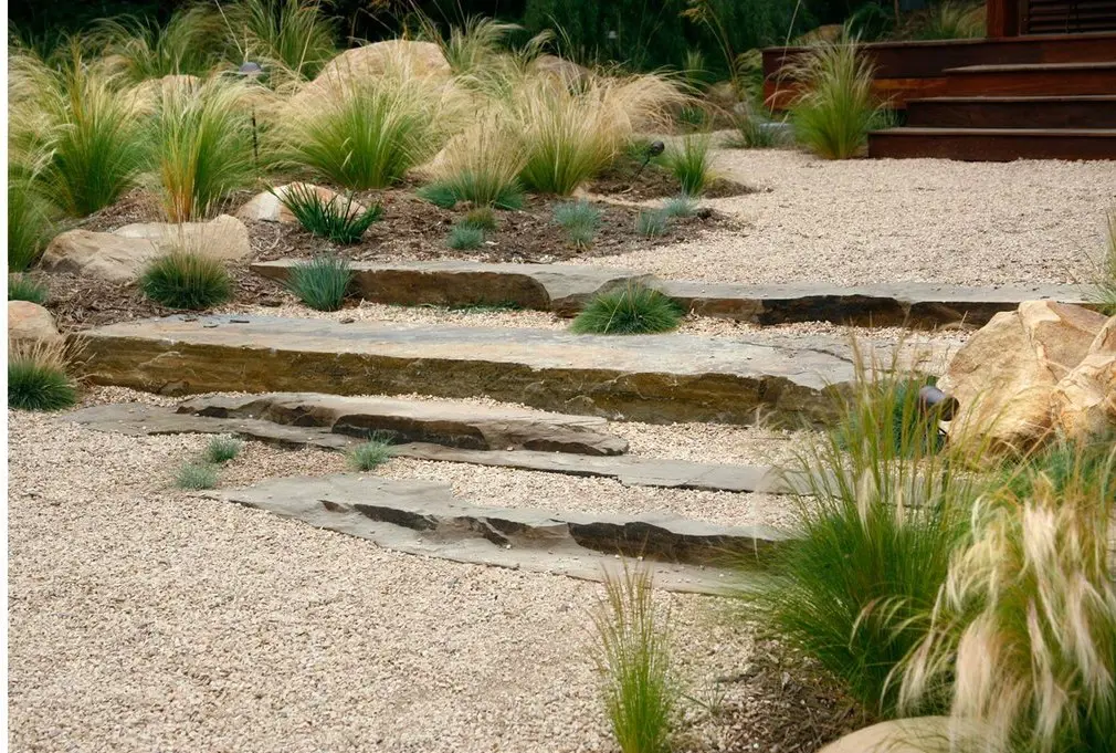 Simple coastal garden with grasses 