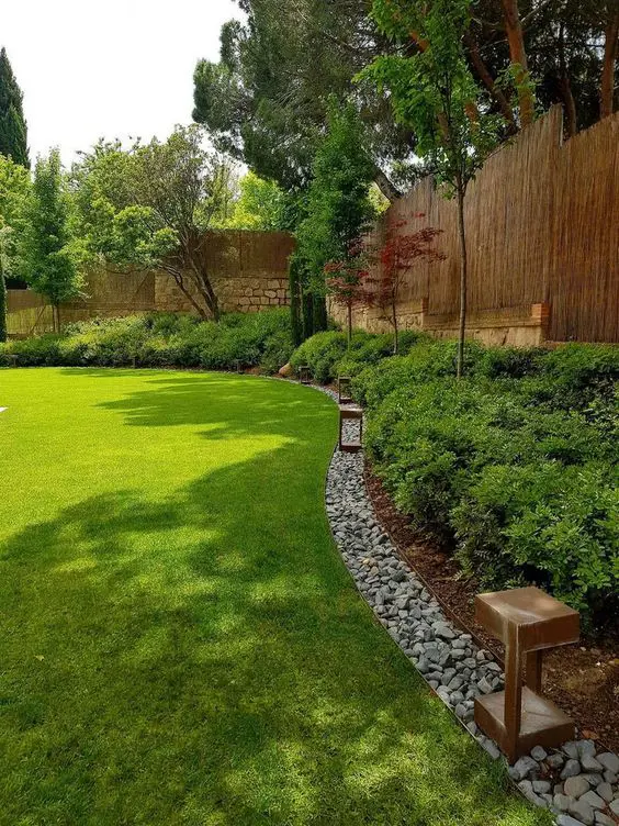 Specimen trees in the border