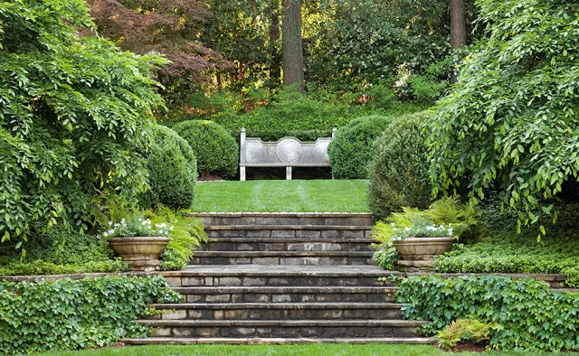 Steps in formal garden bounded with Buxus