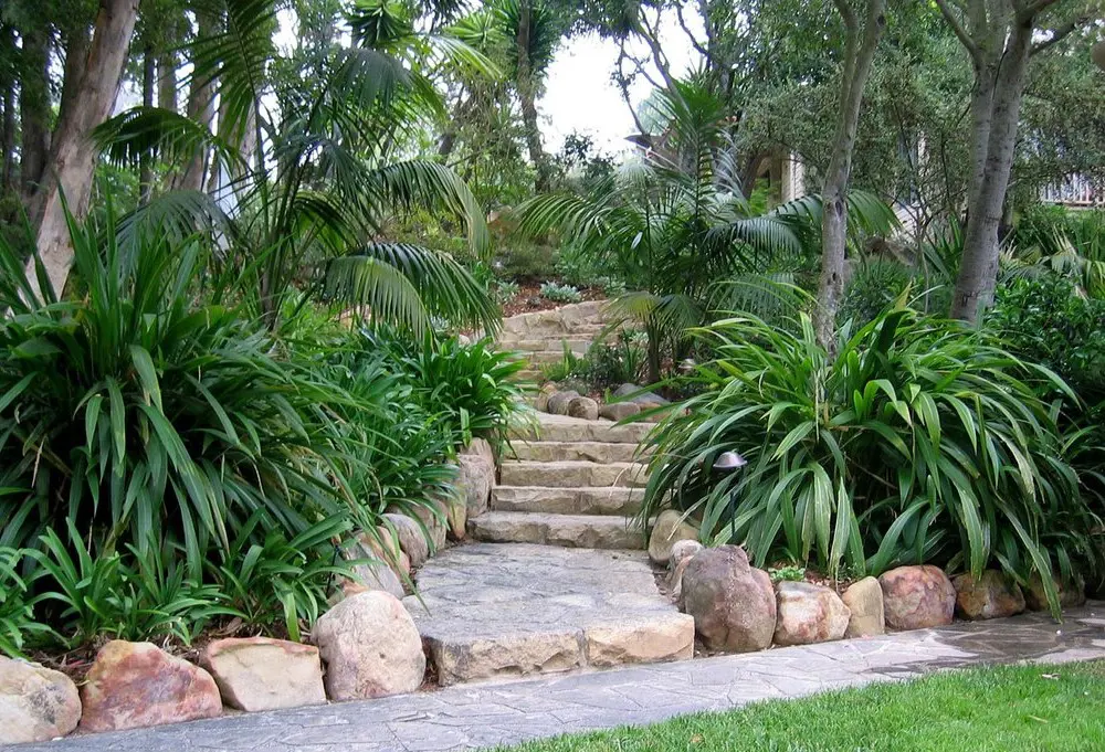 Steps with Palms and flax
